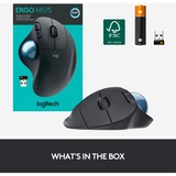 Logitech ERGO M575 Ratones, Trackball grafito, mano derecha, Trackball, RF Wireless + Bluetooth, 2000 DPI, Grafito