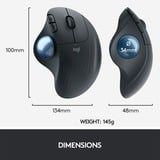 Logitech ERGO M575 Ratones, Trackball grafito, mano derecha, Trackball, RF Wireless + Bluetooth, 2000 DPI, Grafito