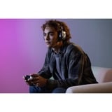 Turtle Beach Recon 70 Negro PlayStation Auriculares Multiplataforma para Juegos PS5, PS4, Xbox Series X|S, Xbox One, PC y Mobile, Auriculares para gaming negro, PS4, Xbox Series X|S, Xbox One, PC y Mobile, Alámbrico, 20 - 20000 Hz, Juego, Auriculares, Negro