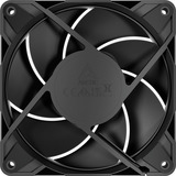 ARCTIC P12 Pro LN, Ventilador negro