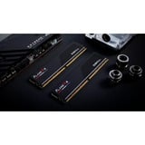 G.Skill F5-6000J3038F16GX2-FX5, Memoria RAM negro