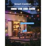 Govee Guirnaldas luminosas para exteriores con lámparas transparentes, Luces de cuerda 