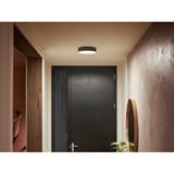 Philips Hue 915005996501, Luz de LED negro