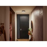 Philips Hue 915005996501, Luz de LED negro