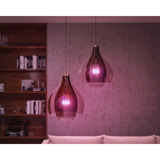 Philips Hue White Ambiance Kit de inicio: Bombilla E27 A60 Pack doble + regulador, Lámpara LED 