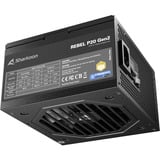 Sharkoon Rebel P20 Gen2 1000, Fuente de alimentación de PC negro