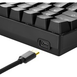 Sharkoon SGK50 S4 teclado USB QWERTZ Alemán Negro, Teclado para gaming negro, 60%, USB, QWERTZ, LED RGB, Negro