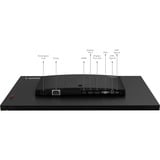 Lenovo ThinkVision P25i-30 LED display 62,2 cm (24.5") 1920 x 1080 Pixeles Full HD Negro, Monitor LED negro, 62,2 cm (24.5"), 1920 x 1080 Pixeles, Full HD, LED, 6 ms, Negro