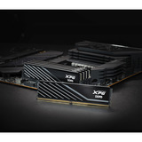 ADATA DIMM 16 GB DDR5-6000, Memoria RAM negro