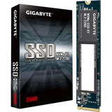 GIGABYTE G3NVMEV2256G, Unidad de estado sólido 