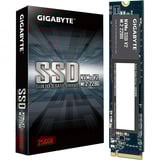 GIGABYTE NVMe SSD V2 256GB, Unidad de estado sólido 