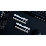 G.Skill DIMM 48 GB DDR5-8000 (2x 24 GB) Dual-Kit, Memoria RAM plateado