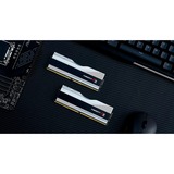 G.Skill F5-8000J4048F24GX2-T, Memoria RAM plateado