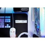 Kingston FURY FURY Beast 32GB 5600MT/s DDR5 CL36 DIMM (Kit de 2) White EXPO, Memoria RAM blanco, 32 GB, 2 x 16 GB, DDR5, 288-pin DIMM