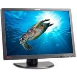 Lenovo ThinkVision LT2452P Reacondicionado, Monitor LED negro