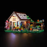 Lumibricks Invernadero doméstico, Juegos de construcción 