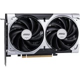 MSI V537-002R, Tarjeta gráfica 