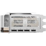ZOTAC ZT-B50900Q-10P, Tarjeta gráfica 