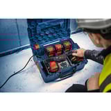 Bosch EXAL18V2-320, 1600A02YG5, Cargador negro