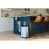 Meaco MeacoDryArete1-10L, Deshumidificador blanco/Beige