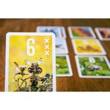 Pegasus Pixies, Juegos de cartas 