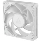 ARCTIC BioniX P12 A-RGB, Ventilador blanco/blanco