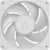 ARCTIC BioniX P12 A-RGB, Ventilador blanco/blanco