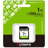 Kingston 1 TB SDXC Canvas Select Plus Gen3 150 MB/s C10 UHS-I U3 V30, Tarjeta de memoria 1 TB, SD, Clase 10, UHS-I, 150 MB/s, Class 3 (U3)