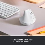 Logitech Lift Ratones, Ratón blanco/Gris claro, mano derecha, Diseño vertical, Óptico, RF Wireless + Bluetooth, 4000 DPI, Blanco
