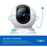 TP-Link TC71 cámara de vigilancia Almohadilla Cámara de seguridad IP Interior 2304 x 1296 Pixeles Escritorio blanco/Negro, Cámara de seguridad IP, Interior, Inalámbrico, Amazon Alexa & Google Assistant, 2400 MHz, Escritorio