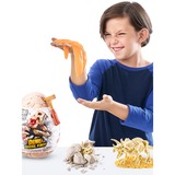 ZURU 7156 Figuras de juguete para niños, Muñecos Robo Alive 7156, 3 año(s), Multicolor, Plástico