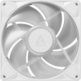 ARCTIC BioniX P14 A-RGB, Ventilador blanco/blanco
