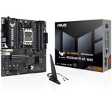 ASUS 90MB1MZ0-M0EAY0, Placa base 