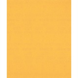 Bosch Expert C470 hoja de lija, 230 x 280mm, K220 