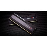 G.Skill F5-5600J4040D48GX2-TZ5RK, Memoria RAM negro