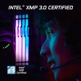 Kingston FURY FURY Beast 32 GB 5600 MT/s DDR5 CL36 DIMM (Kit de 2) White RGB EXPO, Memoria RAM blanco, 32 GB, 2 x 16 GB, DDR5, 288-pin DIMM