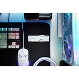 Kingston FURY FURY Beast 32 GB 5600 MT/s DDR5 CL36 DIMM (Kit de 2) White RGB EXPO, Memoria RAM blanco, 32 GB, 2 x 16 GB, DDR5, 288-pin DIMM