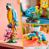LEGO Creator 3-in-1 Loro Exótico, Juegos de construcción Juego de construcción, 7 año(s), Plástico, 253 pieza(s), 361 g