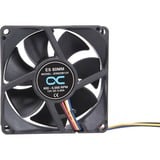 Alphacool 24829 sistema de refrigeración para ordenador Universal Ventilador 8 cm Negro 1 pieza(s) negro, Ventilador, 8 cm, 1000 RPM, 6000 RPM, 50 dB, 130,83 m³/h