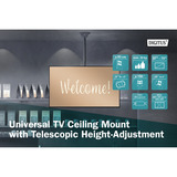 Digitus Soporte universal para TV de techo con ajuste telescópico de altura negro