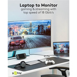 goobay 75696, Adaptador negro