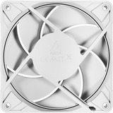 ARCTIC P12 Pro PST, Ventilador blanco