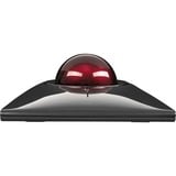 Kensington Trackball SlimBlade Pro negro/Rojo oscuro, Ambidextro, Óptico, RF Wireless + Bluetooth + USB Type-A, 1600 DPI, Negro