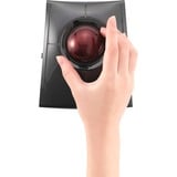 Kensington Trackball SlimBlade Pro negro/Rojo oscuro, Ambidextro, Óptico, RF Wireless + Bluetooth + USB Type-A, 1600 DPI, Negro