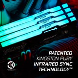 Kingston FURY FURY Beast 32 GB 5600 MT/s DDR5 CL40 DIMM White RGB XMP, Memoria RAM blanco, 32 GB, 1 x 32 GB, DDR5, 288-pin DIMM