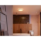 Philips Hue Lámpara de techo grande Infuse, Luz de LED blanco, Philips Hue White ambiance Lámpara de techo grande Infuse, Luz de techo inteligente, Bluetooth, Blanco, LED, Metal, Bombilla(s) no reemplazable(s)