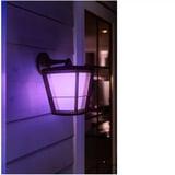 Philips White & Color Ambiance Econic Outdoor aplique de pared colgante, Luz de LED negro