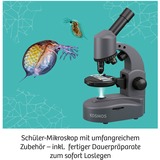 KOSMOS 33414758 juguete y kit de ciencia para niños, Caja de experimentos Microscopio, Desarrollo, 10 año(s)