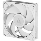 ARCTIC ACFAN00317A, Ventilador blanco