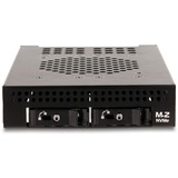 DeLOCK Marco extraíble de 3,5″ para 2 x M.2 NVMe SSD, Bastidor de instalación 